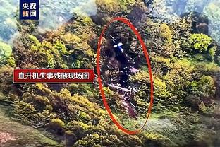 西区头部之争很激烈！森林狼力压雷霆居首 掘金领先快船1个胜场